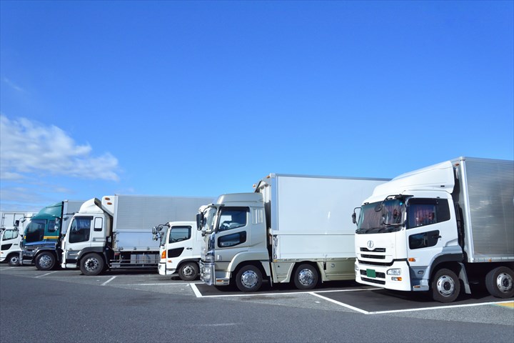 01_ドライバー系】61824910_M_R.jpg